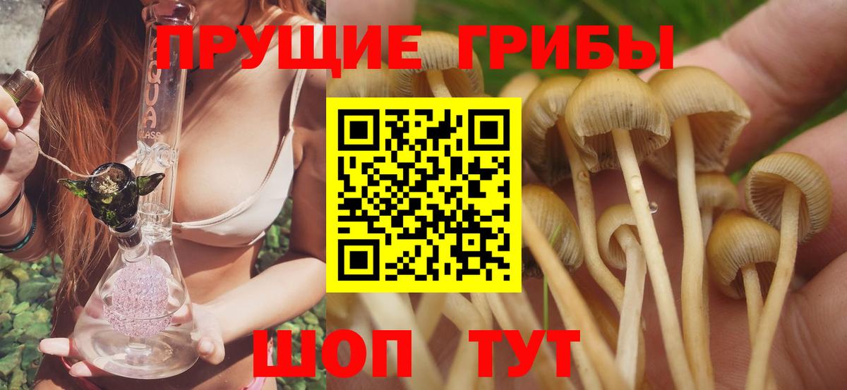 магазин  наркотиков  Вход с VPN  Мариинск  Галлюциногенные грибы мухоморы 